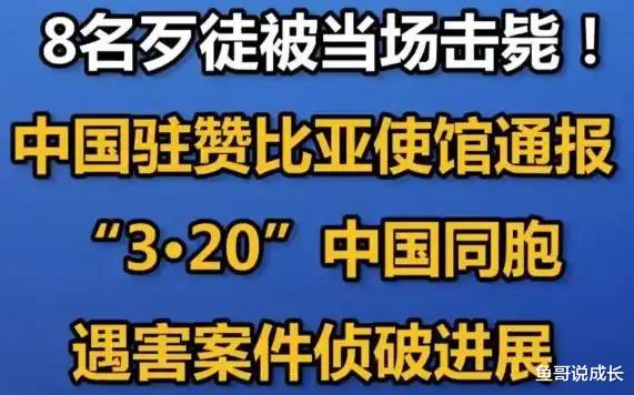 泸深在线 赞比亚血案8名歹徒被击毙: 正义背后, 中国力量的坚韧守护