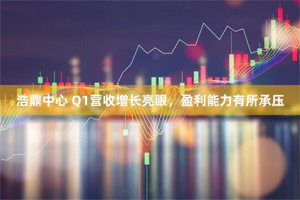 浩鼎中心 Q1营收增长亮眼，盈利能力有所承压